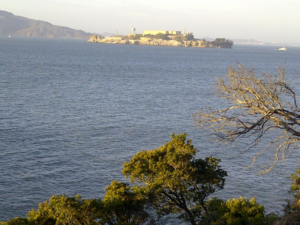 Alcatraz swim 1